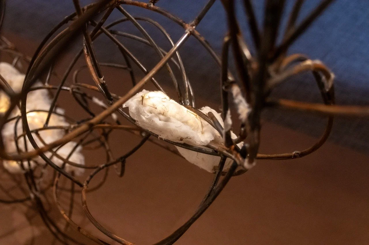 All photos by Dannie Lane, 2026.