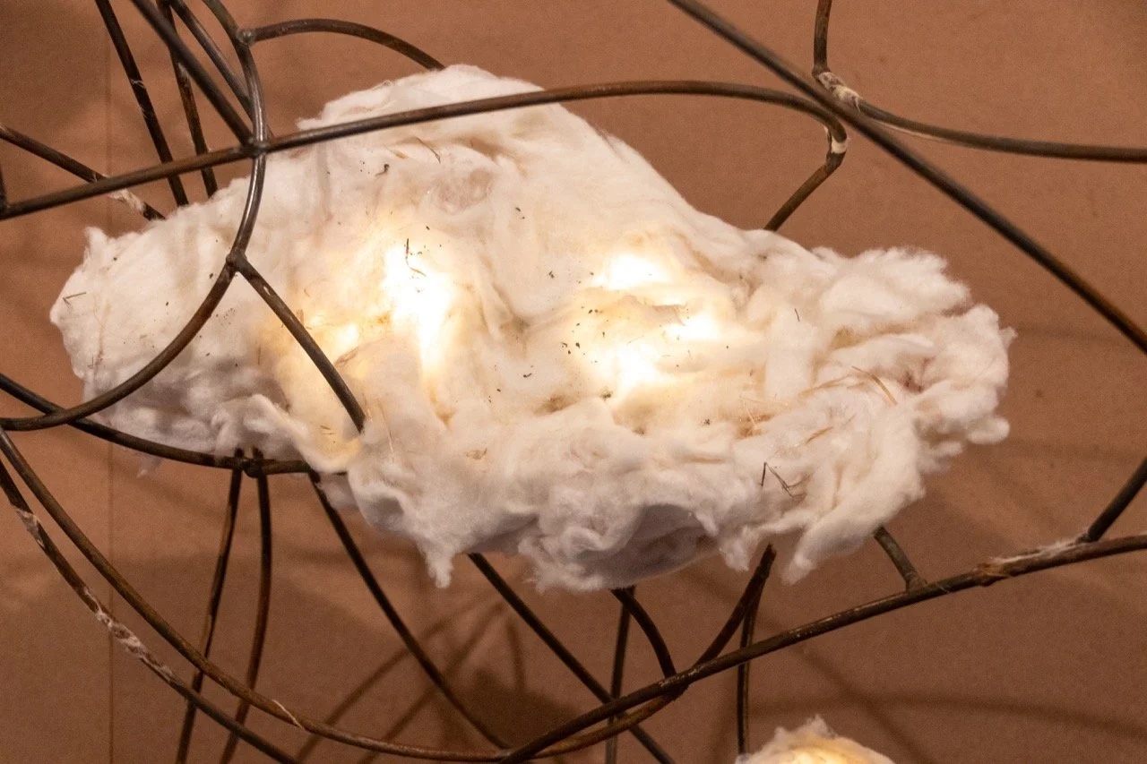 All photos by Dannie Lane, 2026.