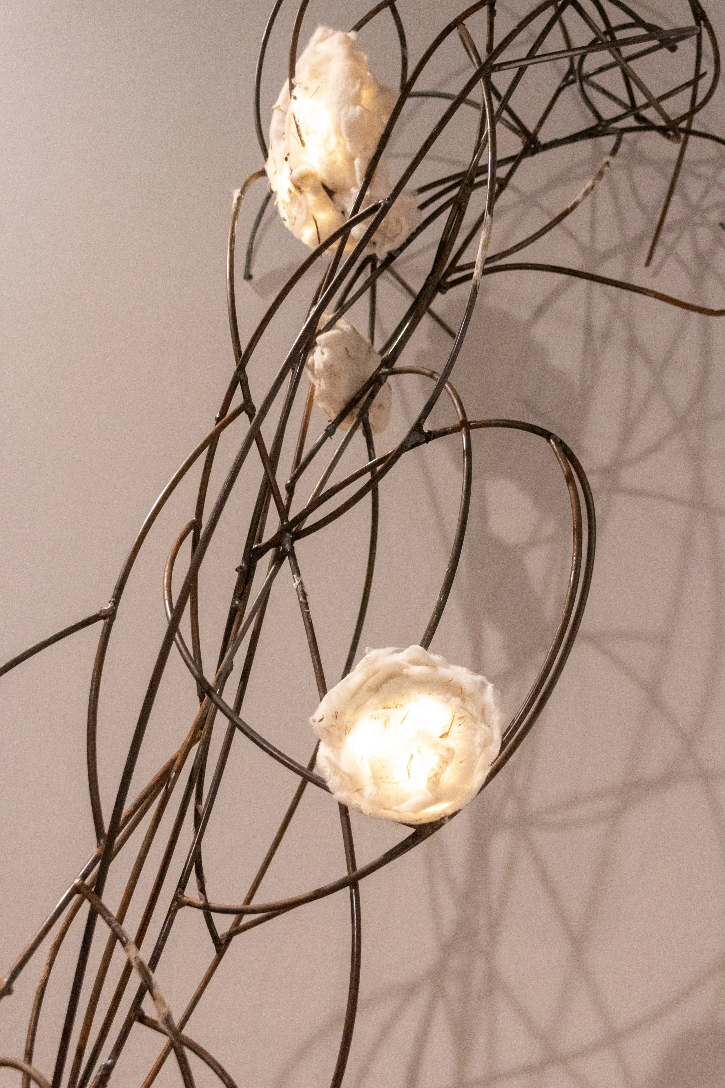 All photos by Dannie Lane, 2026.