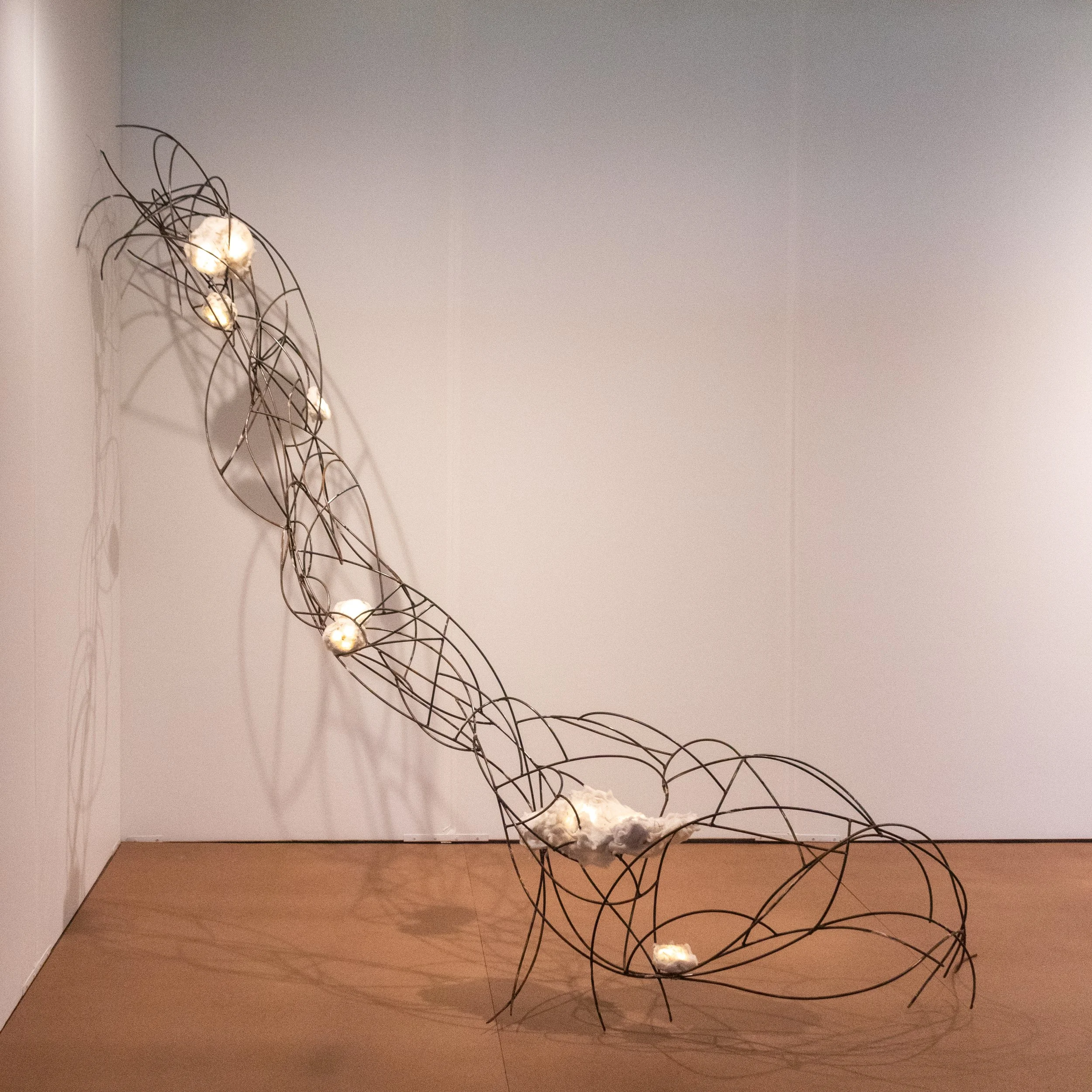 All photos by Dannie Lane, 2026.