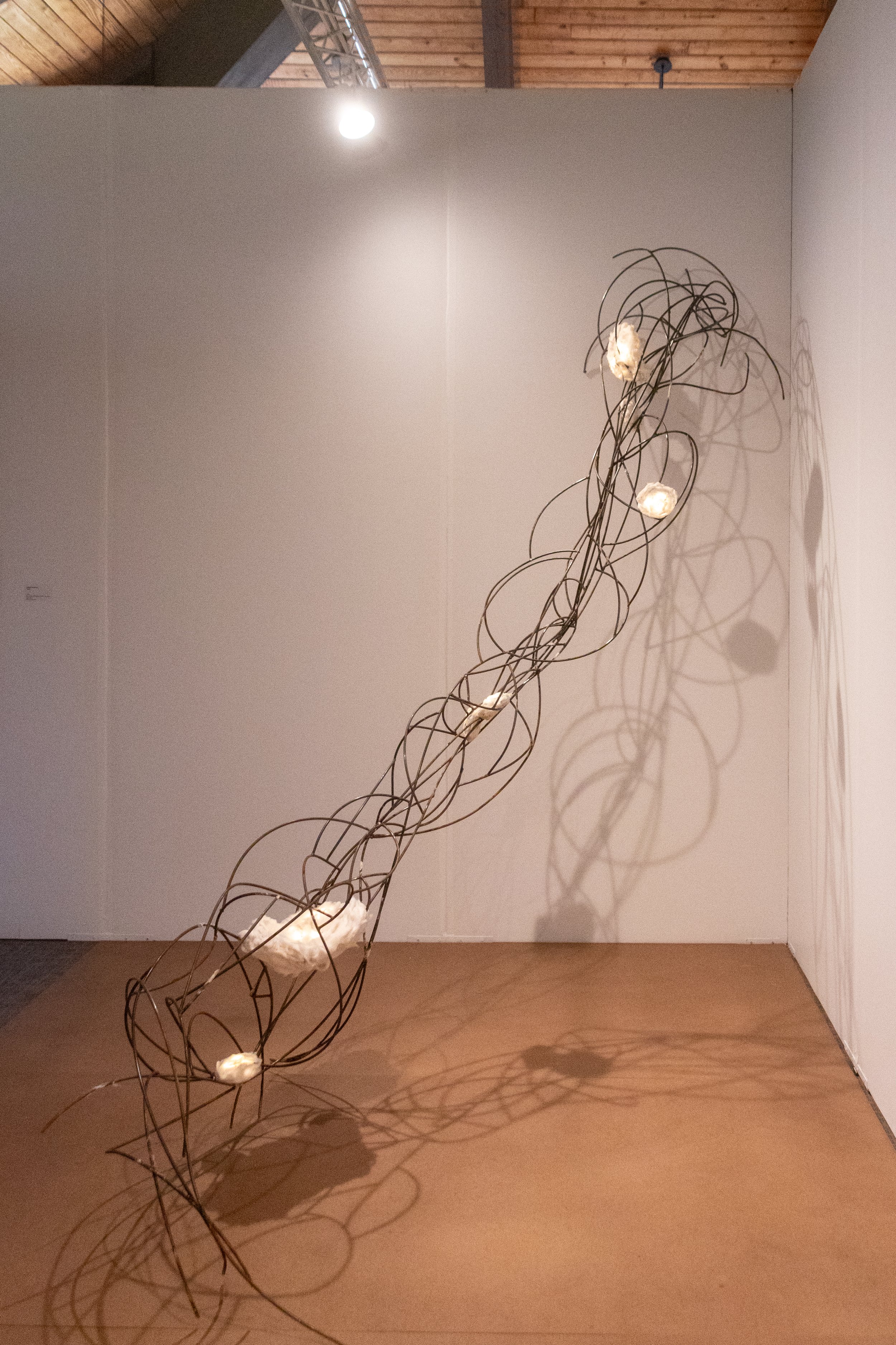 All photos by Dannie Lane, 2026.