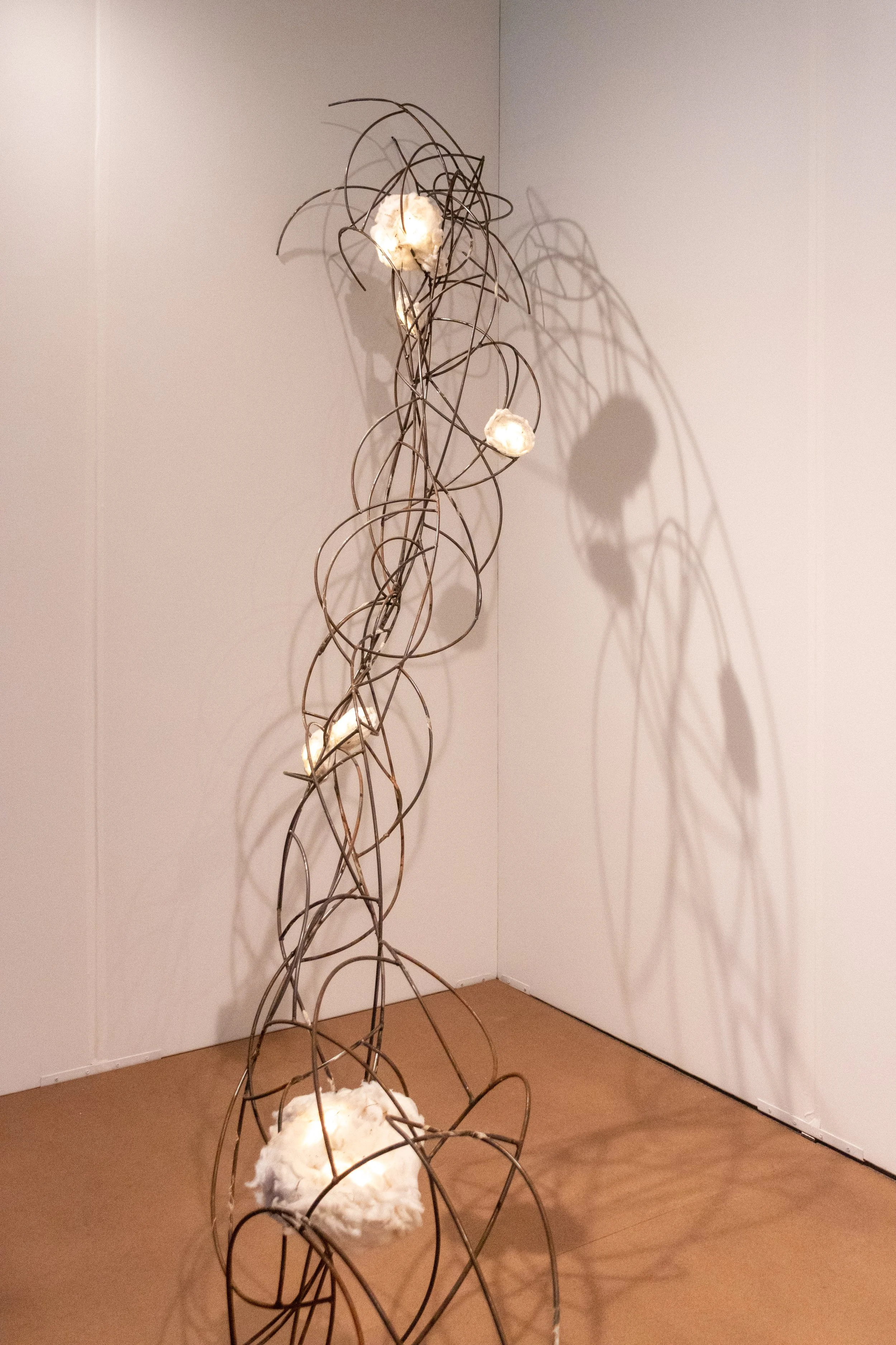 All photos by Dannie Lane, 2026.