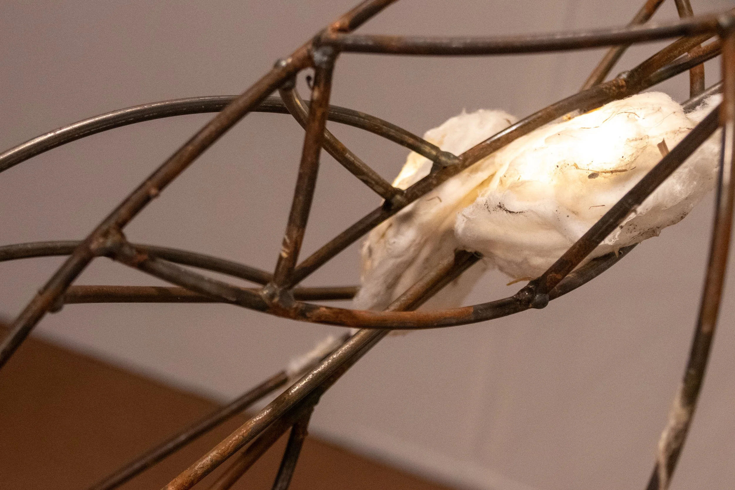 All photos by Dannie Lane, 2026.