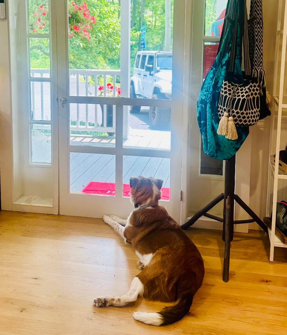 Goose is waiting patiently to greet you!!!!