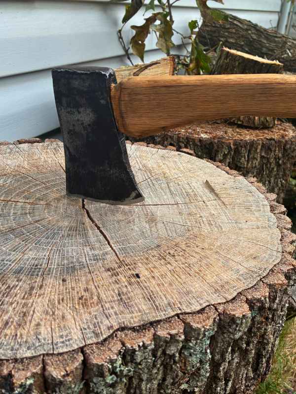 Close-up of an axe embedded in a tree stump outdoors, with part of a house's siding and some plants visible in the background.