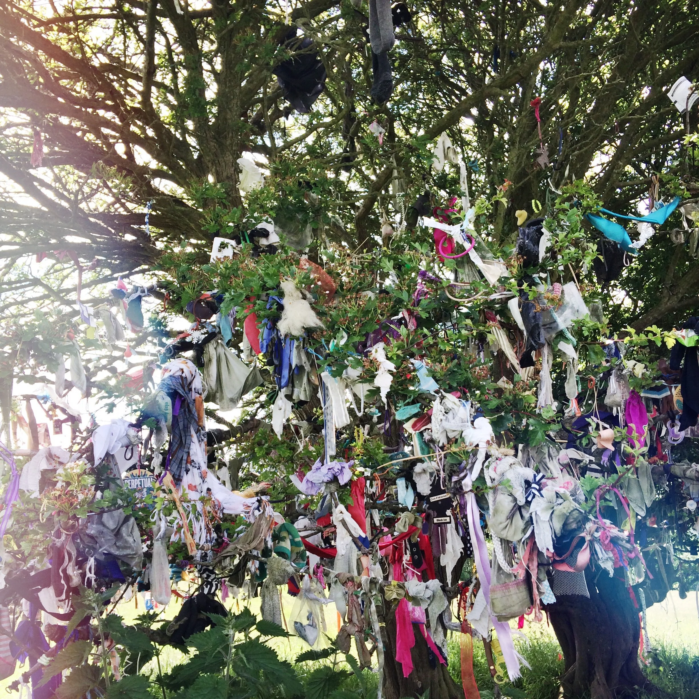 A tree decorated with numerous cloth ribbons, scarves, and small fabric items tied to its branches, creating a colorful and textured display.