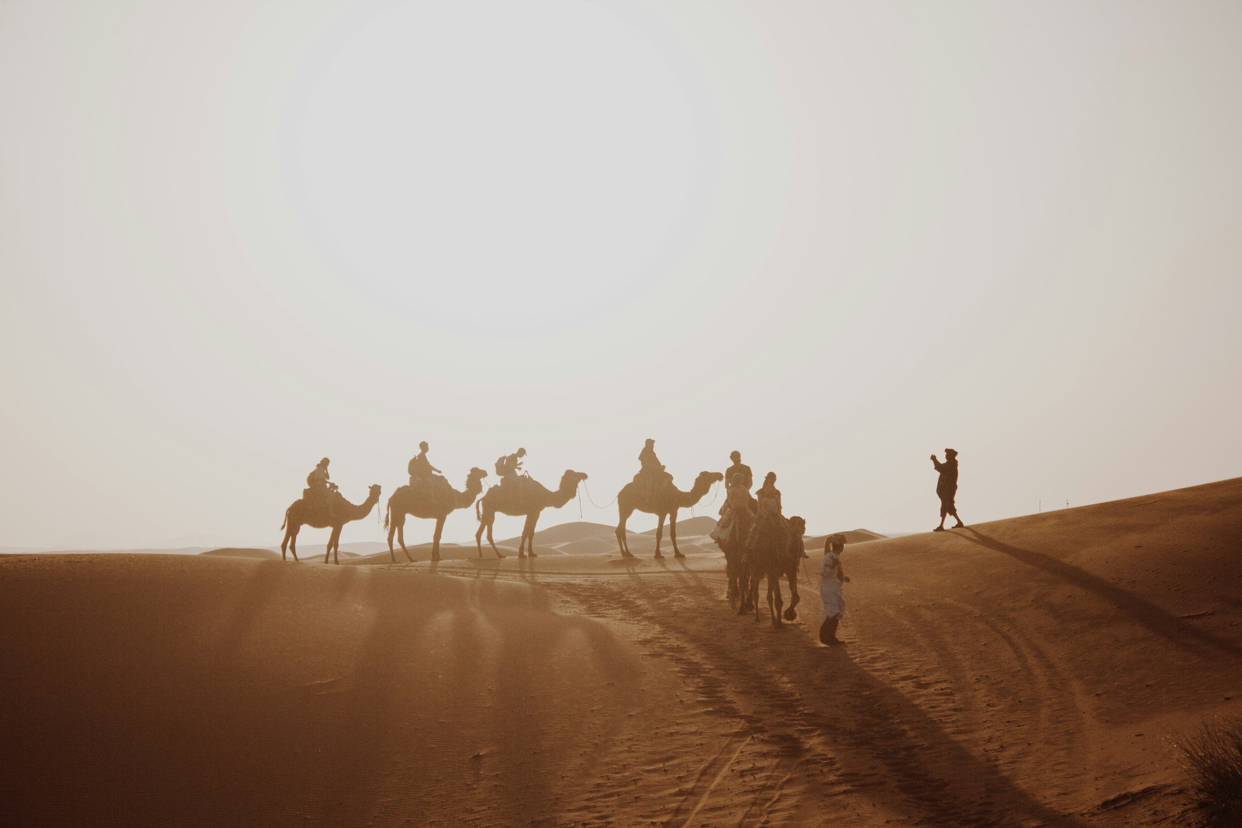 Silhouette of a camel caravan with several camels and riders traveling through desert dunes at sunset, with a guide walking alongside.