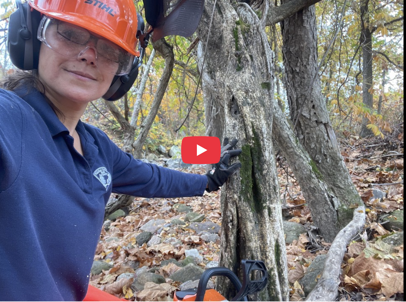 Volunteer Efforts in Managing Invasives