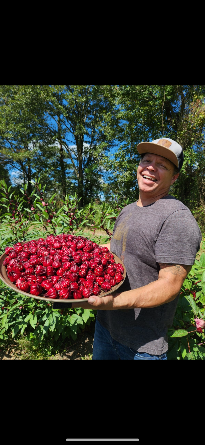 James Hutchison - Farm Director