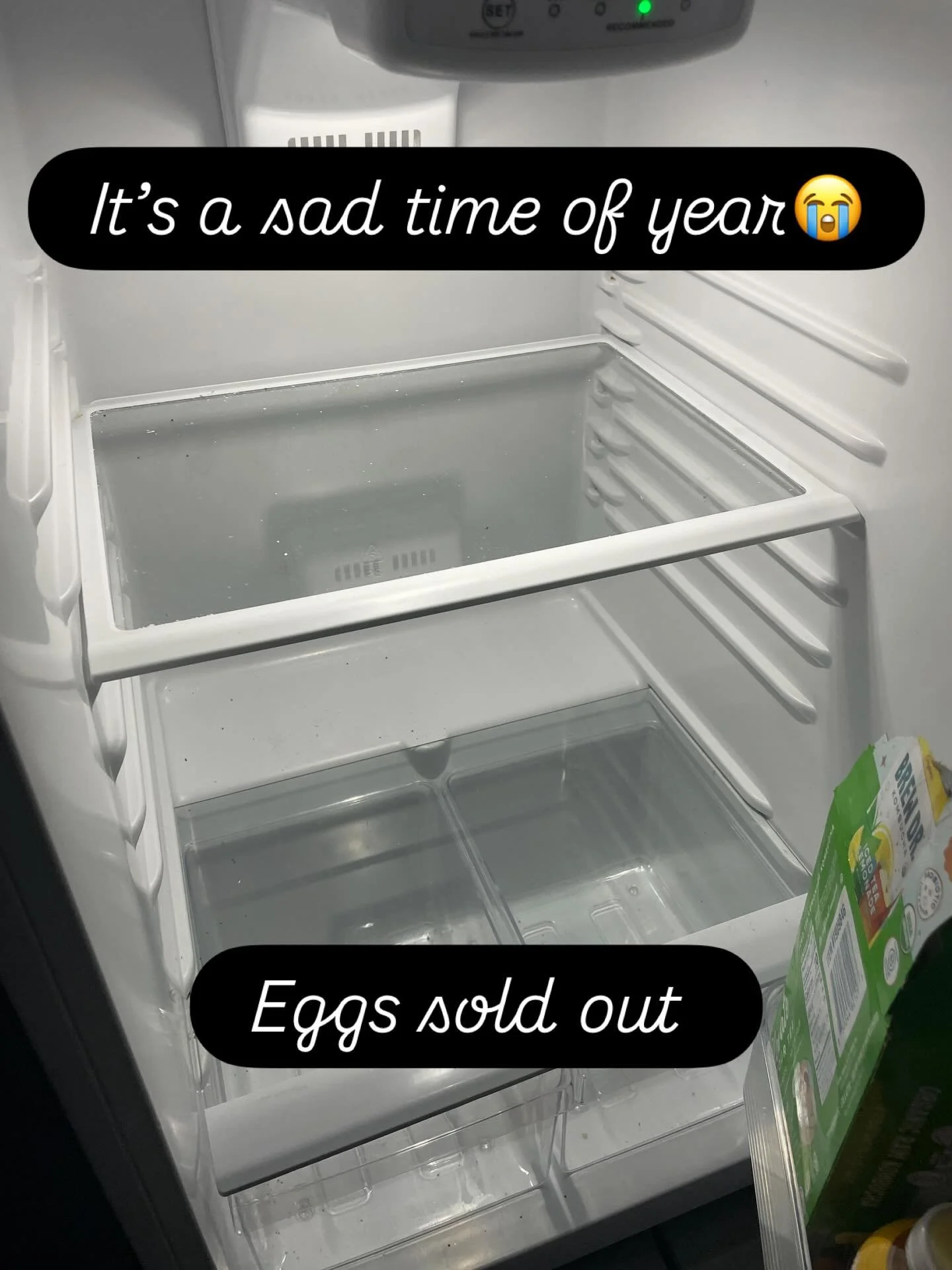 Eggs slow down this time of year. Right now they are feeding the Stingers with not much leftover. Stay tuned for when they are back.