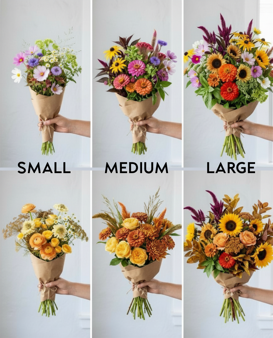 sizes.png