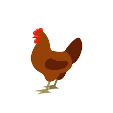 pullet.png
