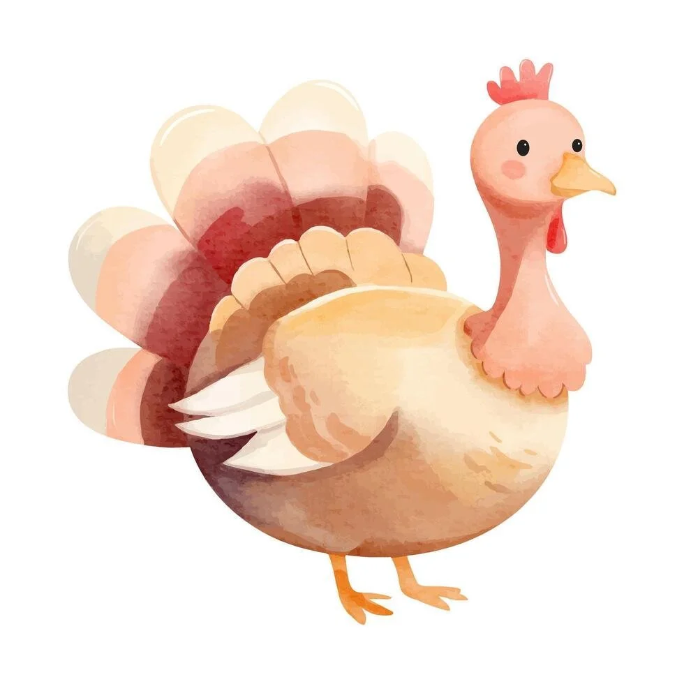 Turkey Share
