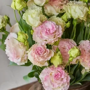 Lisianthus - Misty Pink & Green