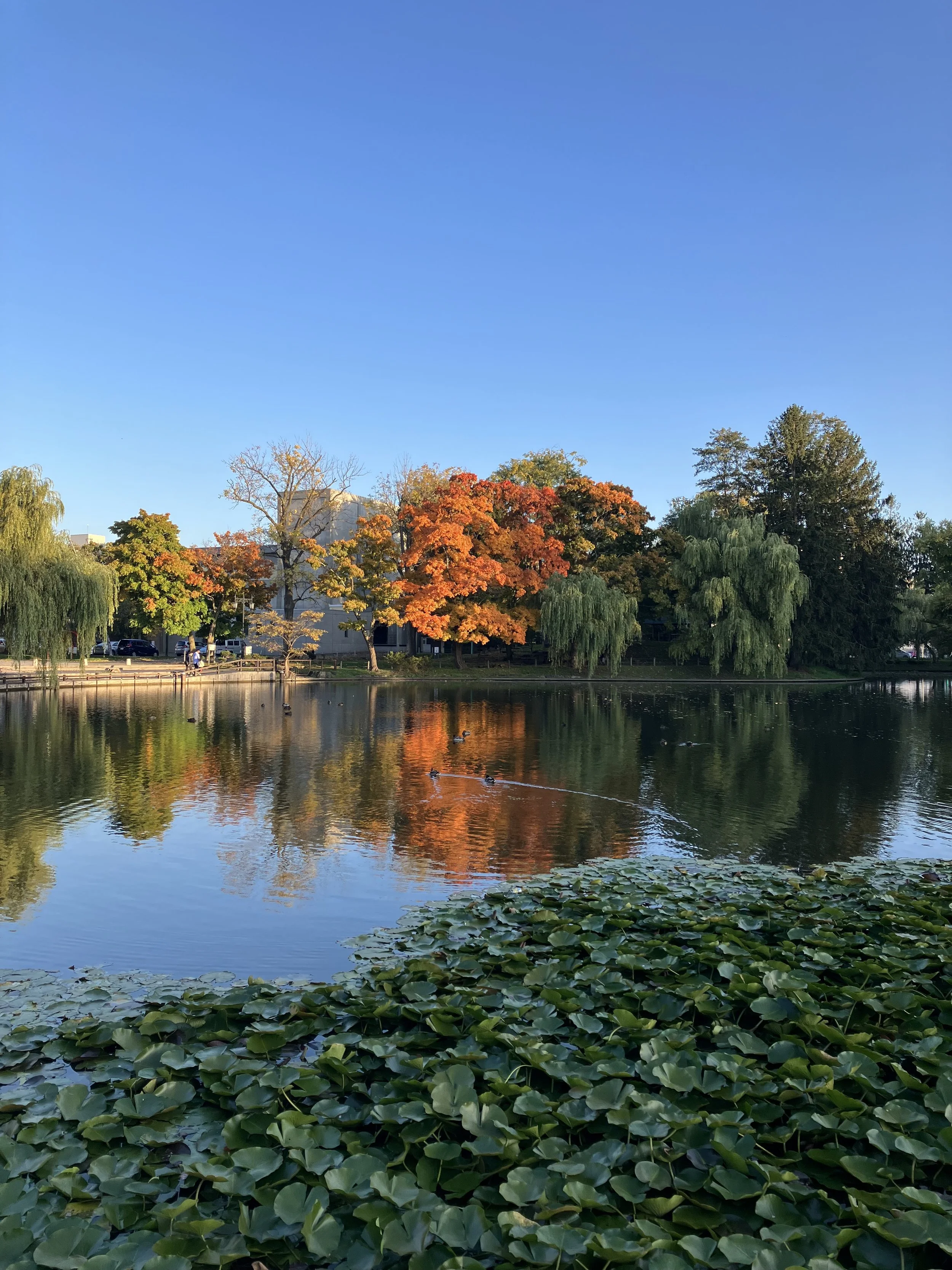 Bonus Blog: What I Use to Film Hokkaido Life with John (And How I Plan to Improve It)