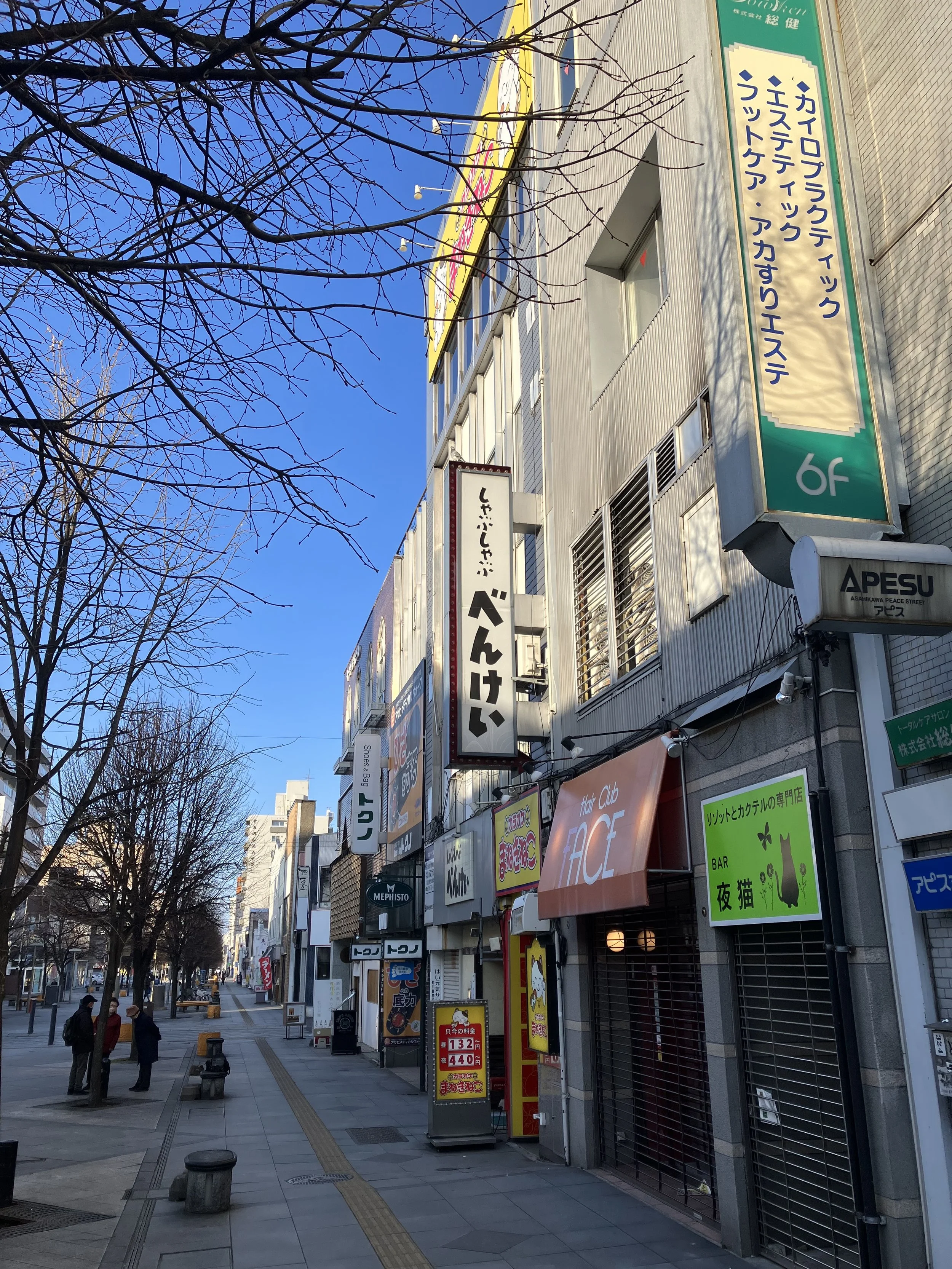 A city street with trees and people walking, lined with various shops and signs in Japanese, with a clear blue sky.