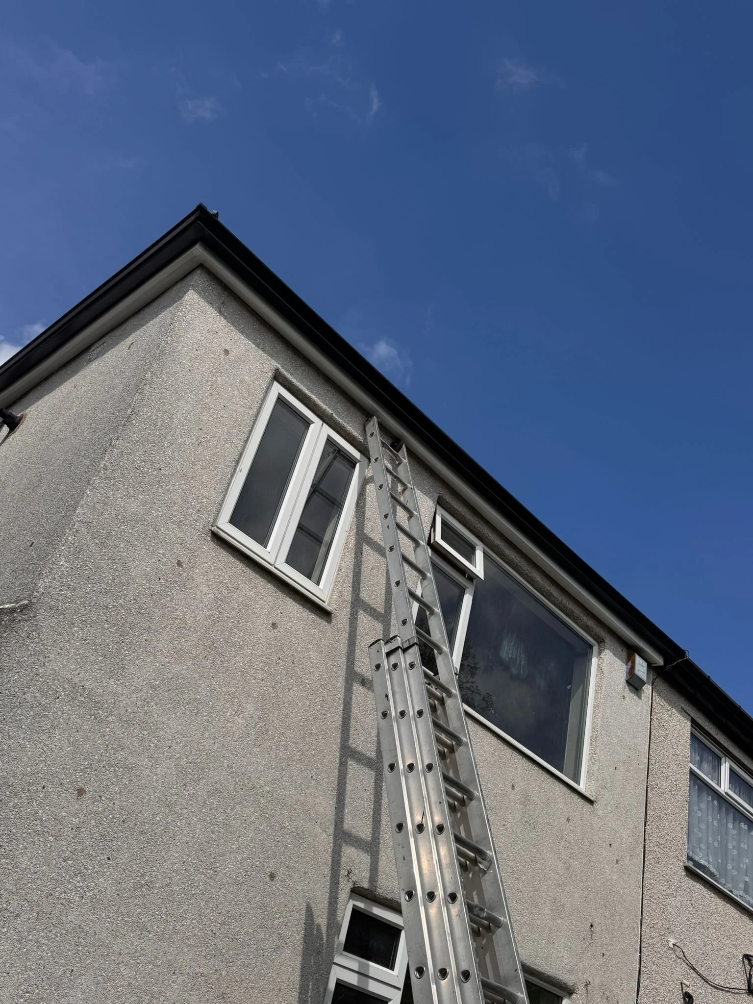 Exterior of a house with a ladder leaning against the wall for roof or gutter work.