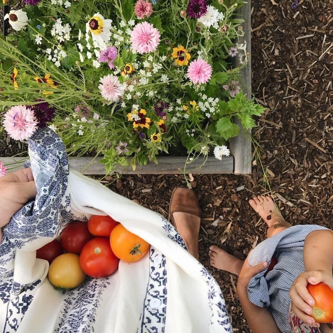 Person holding tomatoes in a white cloth bag near a planter box of colorful flowers, with a child reaching for a tomato, barefoot on wood mulch.