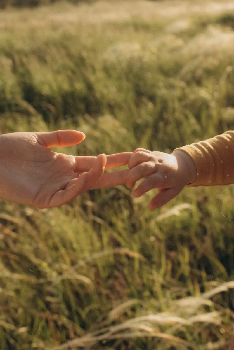 A close-up of two hands, one surrounding the other, reaching toward each other in a grassy field at sunset.