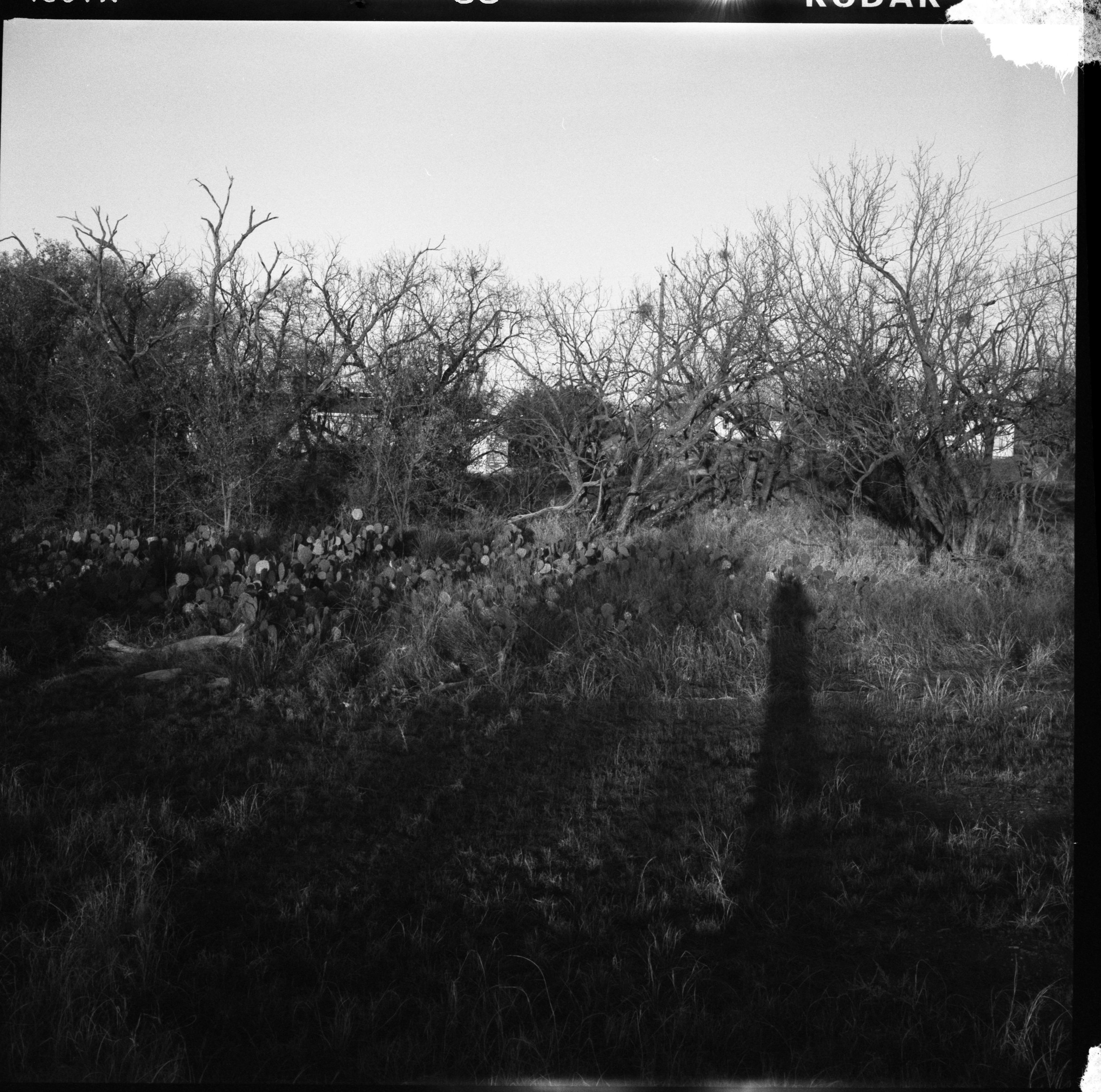 TRI X v600 scans20260404_0011.jpg