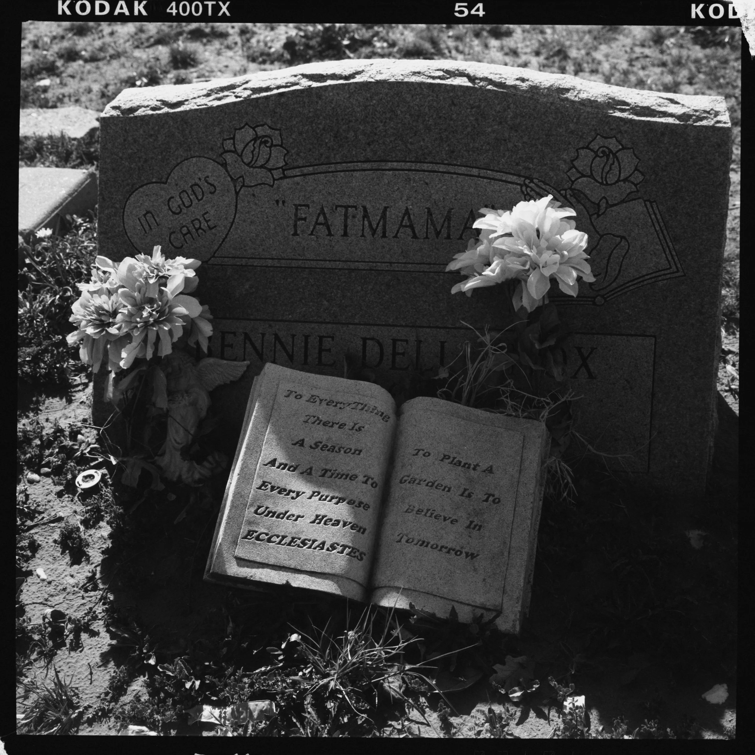 TRI X v600 scans20260422_0077 1.jpg