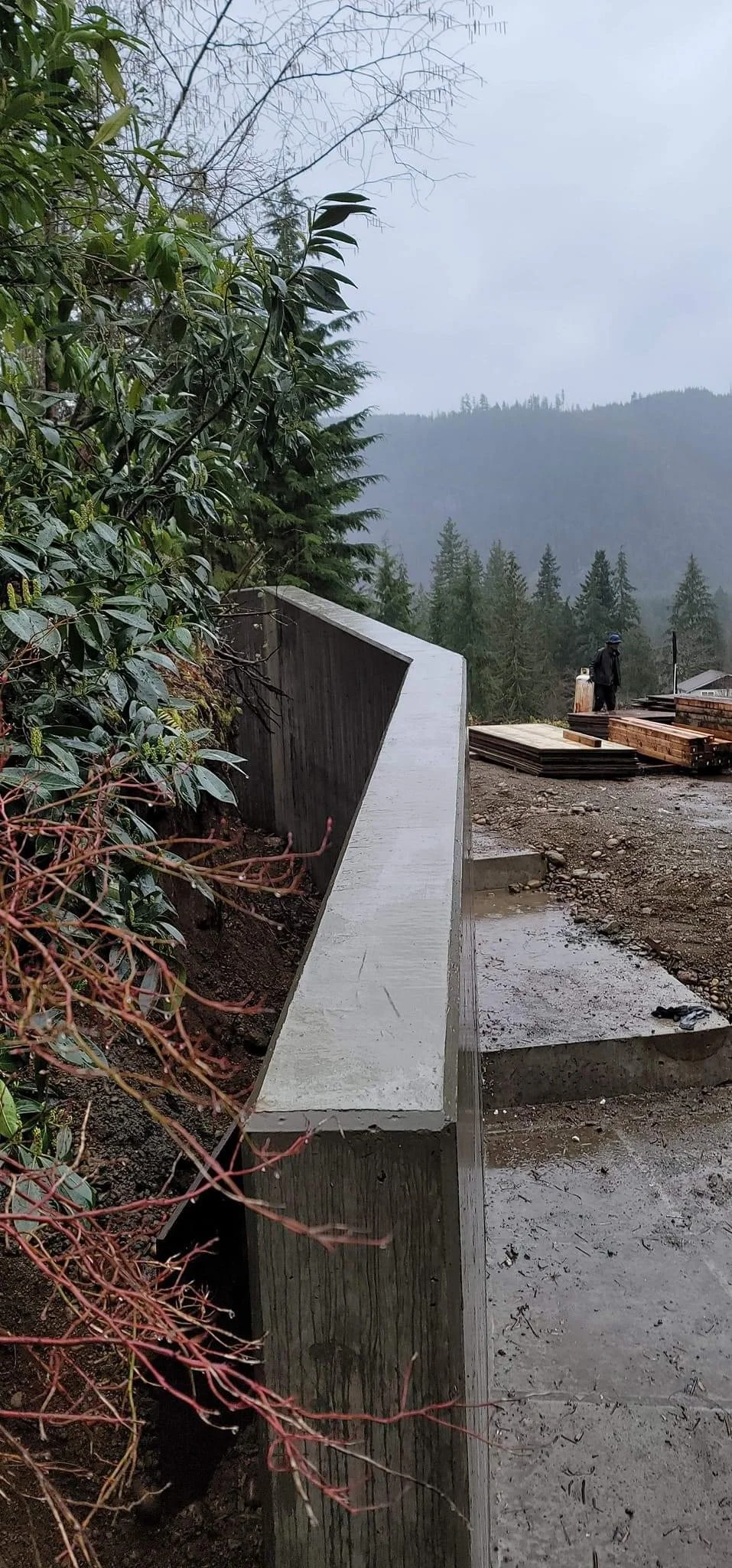 Copy of IMG_2464.JPG