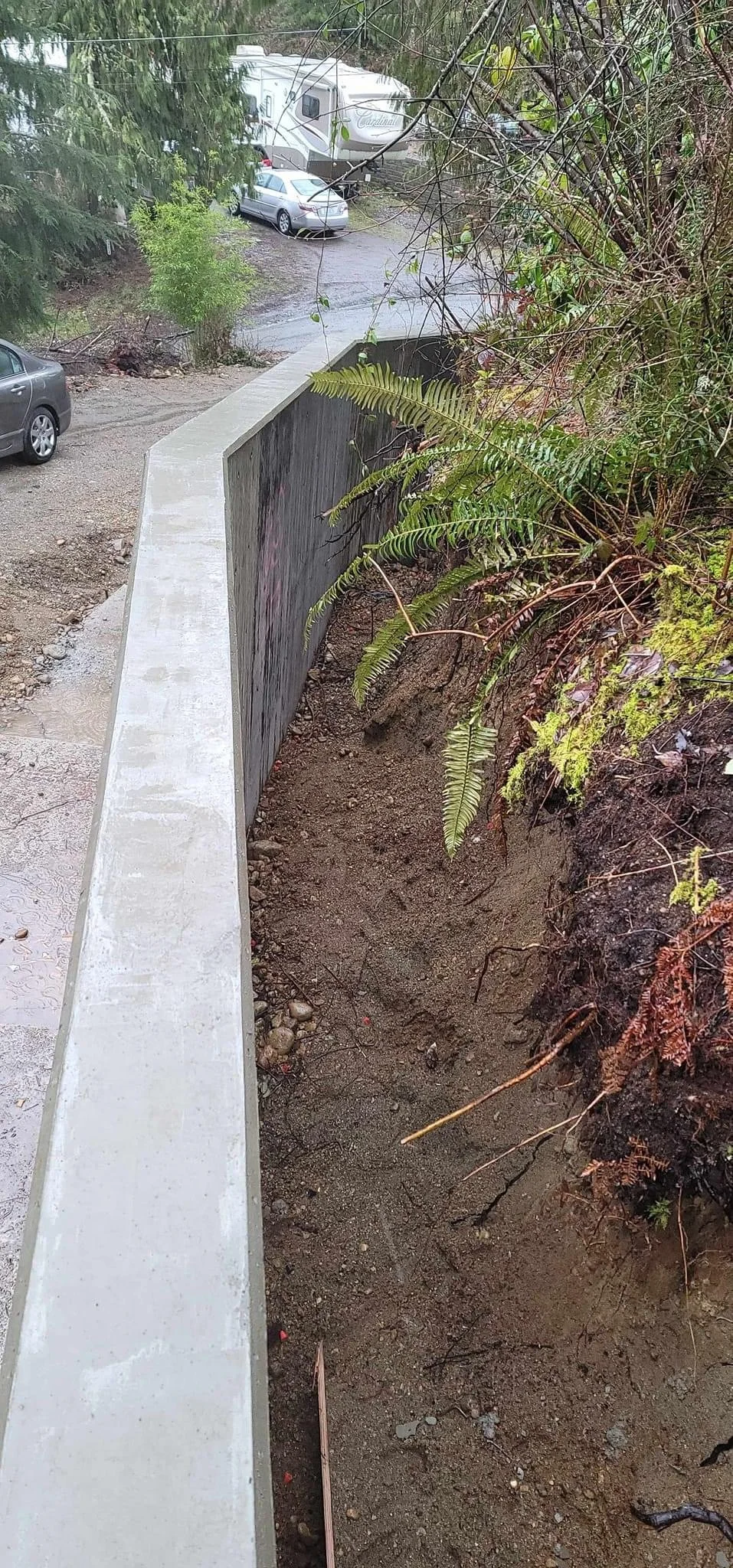 Copy of IMG_2465.JPG