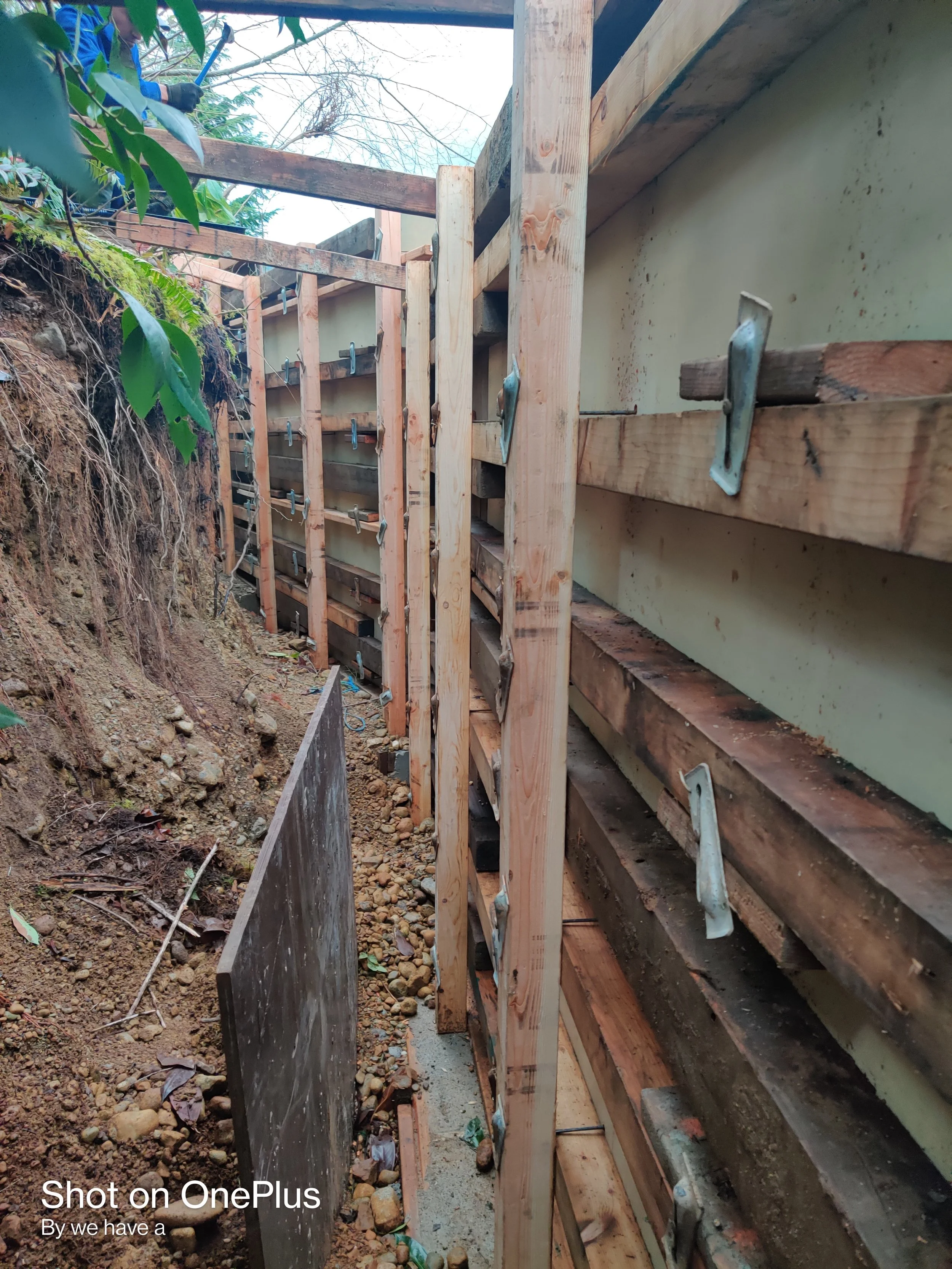 Copy of IMG_20220121_143053(1).jpg