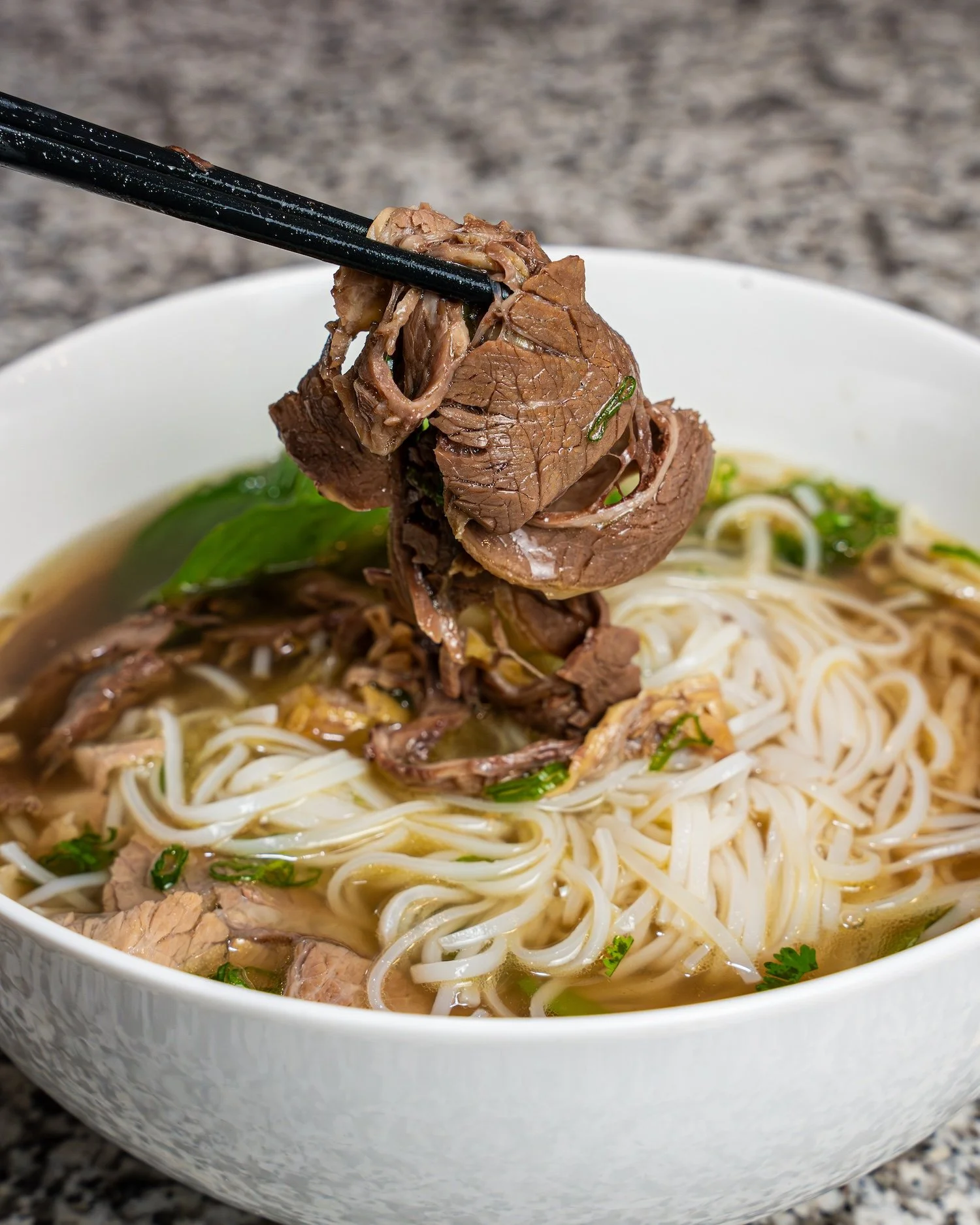 Untitled-6932 copy.JPEG