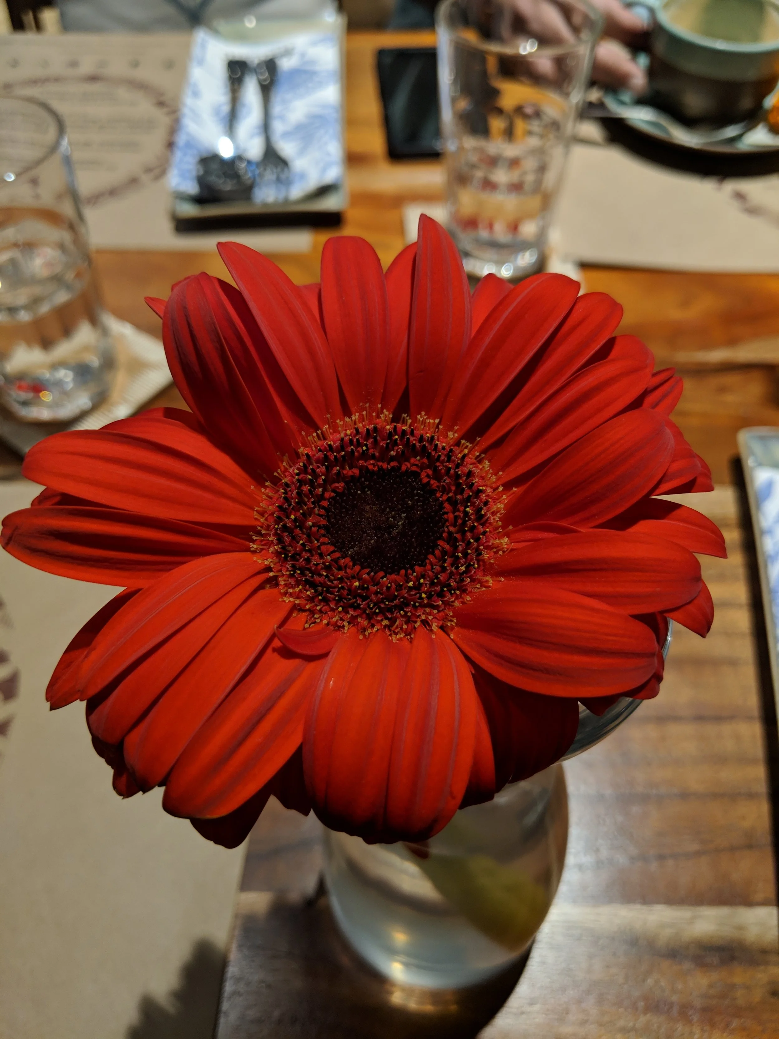 Flowers.jpg