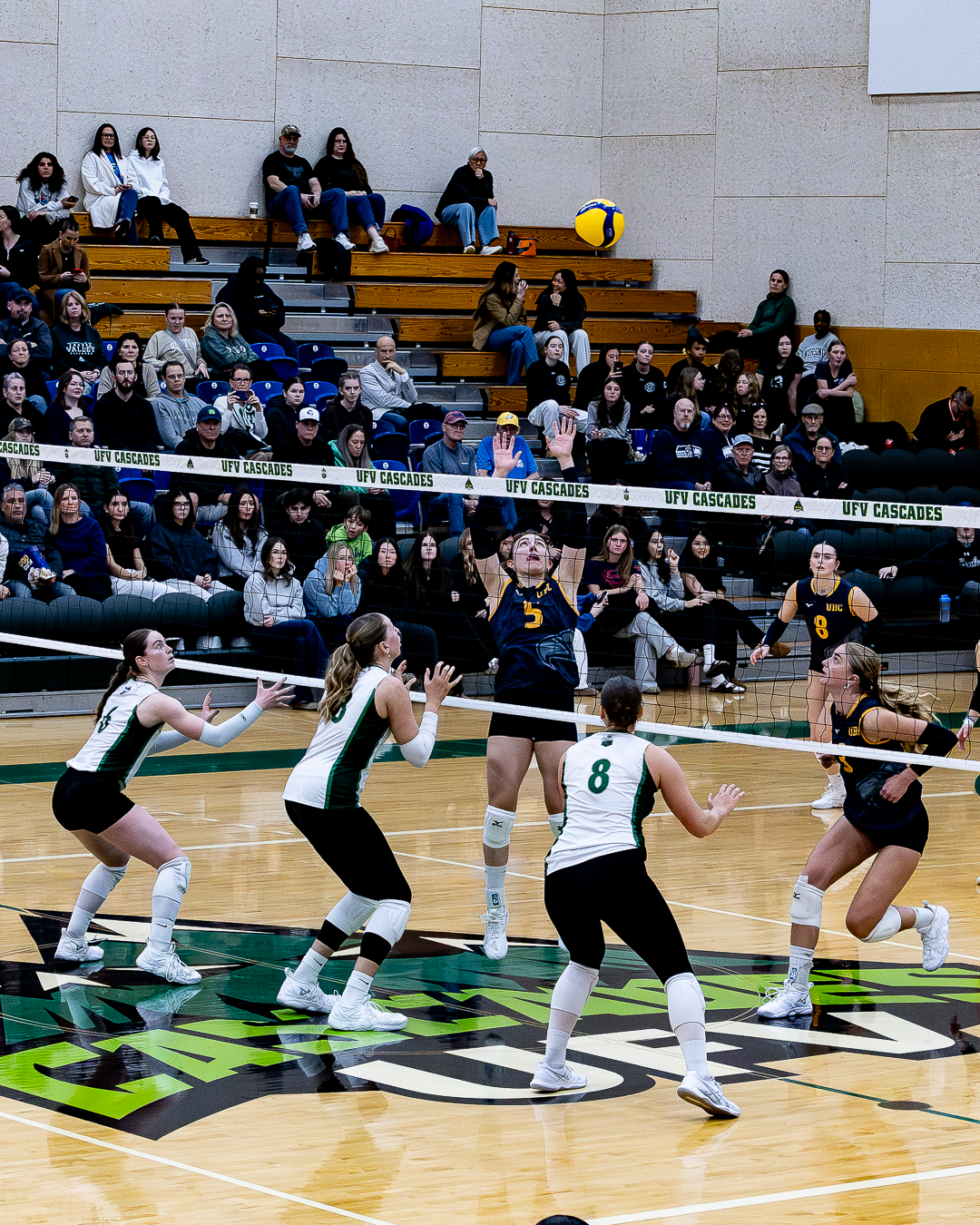 more sports photos-4.png