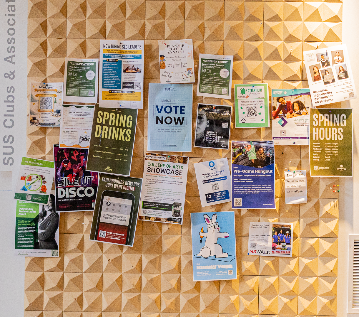 UFV on a budget -2 (1).png