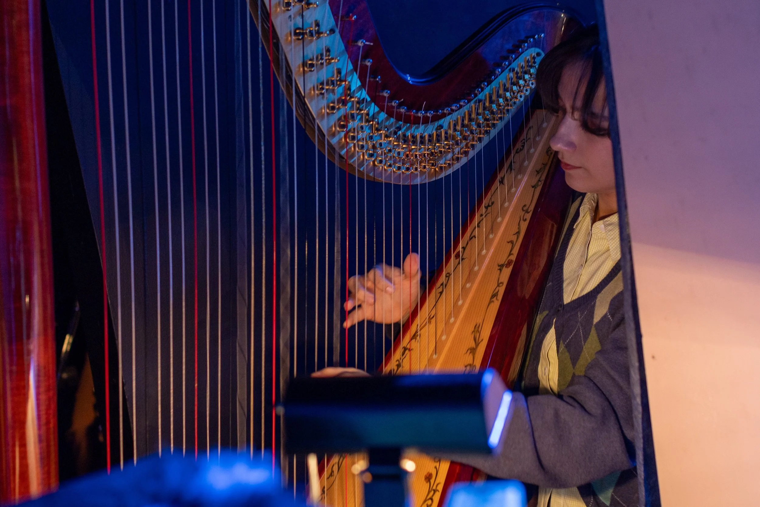 The Fantasticks 134.jpg