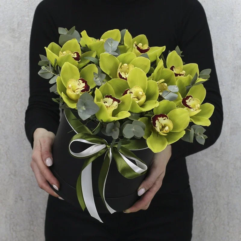 Green Cymbidium Orchid Box
