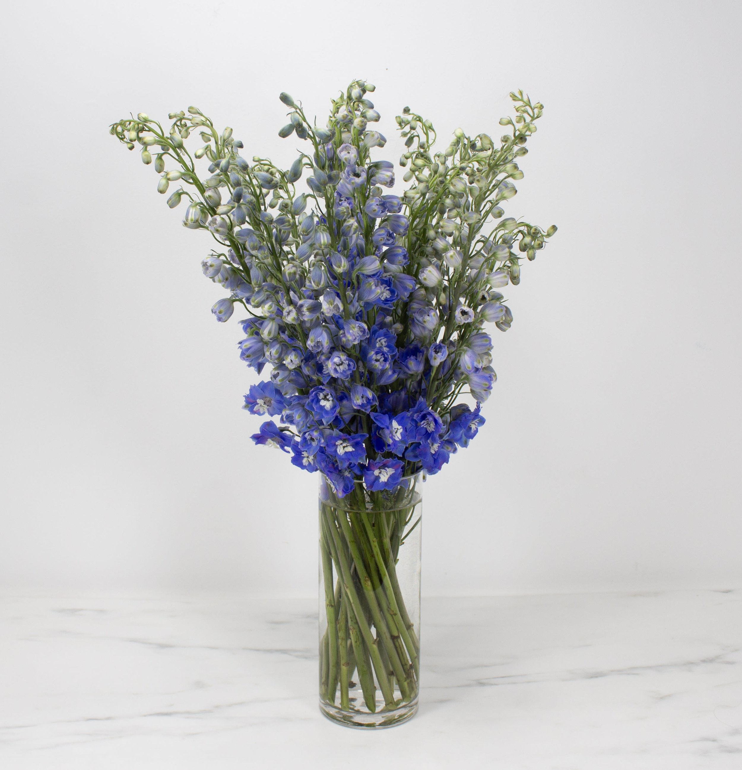 Delphinium Flowers Vase Arrangement