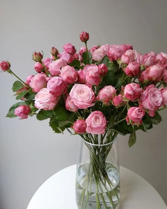 Spray Roses Vase Arrangement