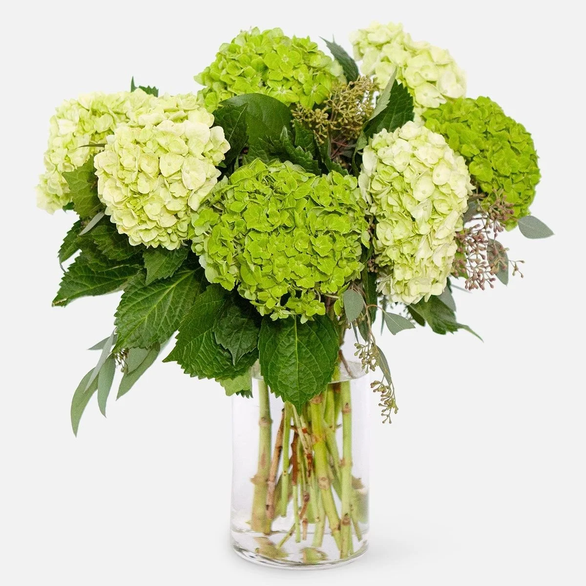 ps10776-mixedgreen-hydrangea-bouquet_vc.jpg