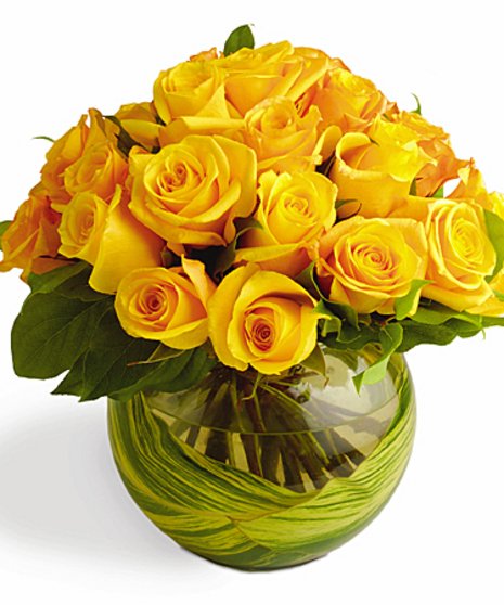 Yellow Roses In Low Vase
