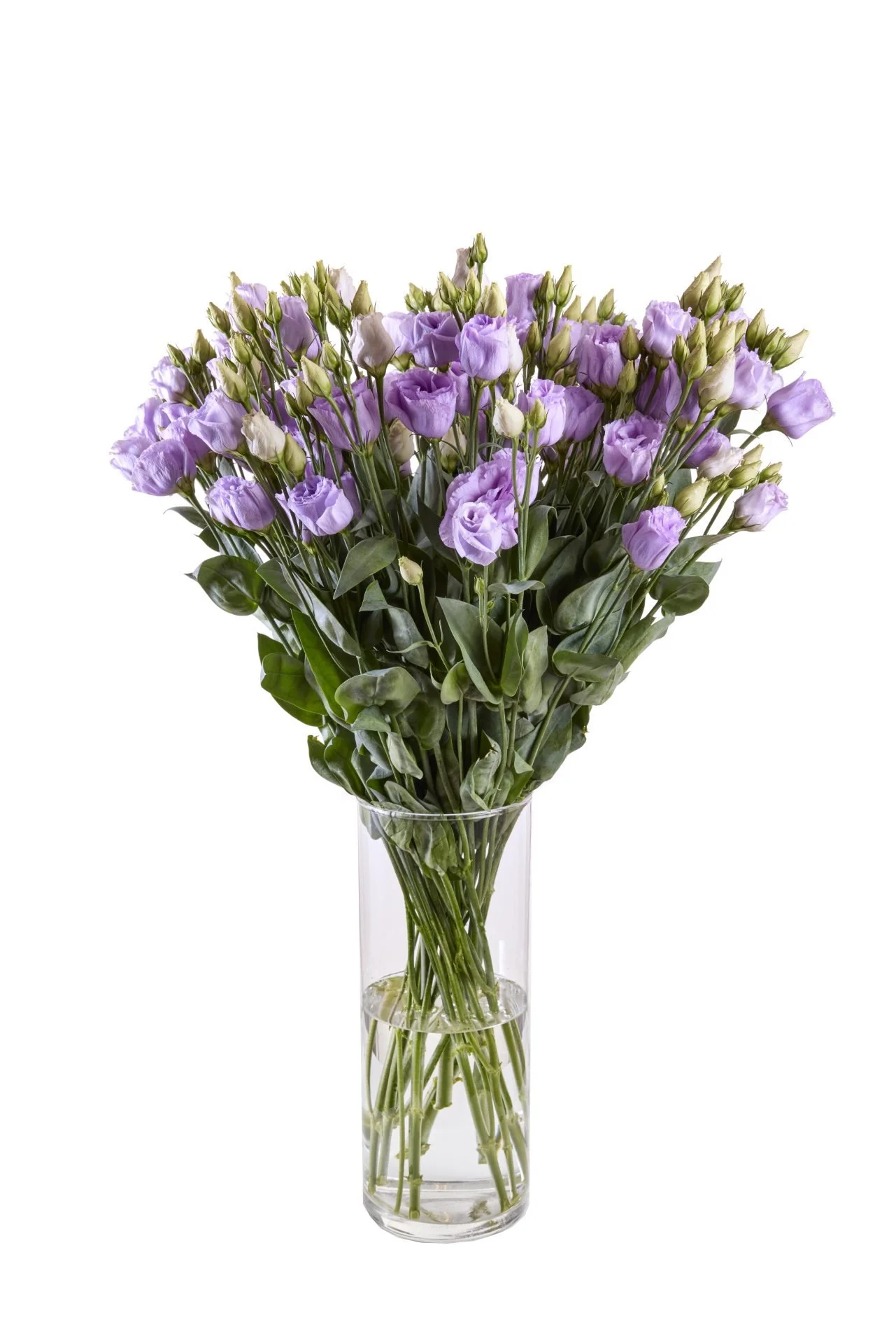 Lisianthus  Vase Arrangement