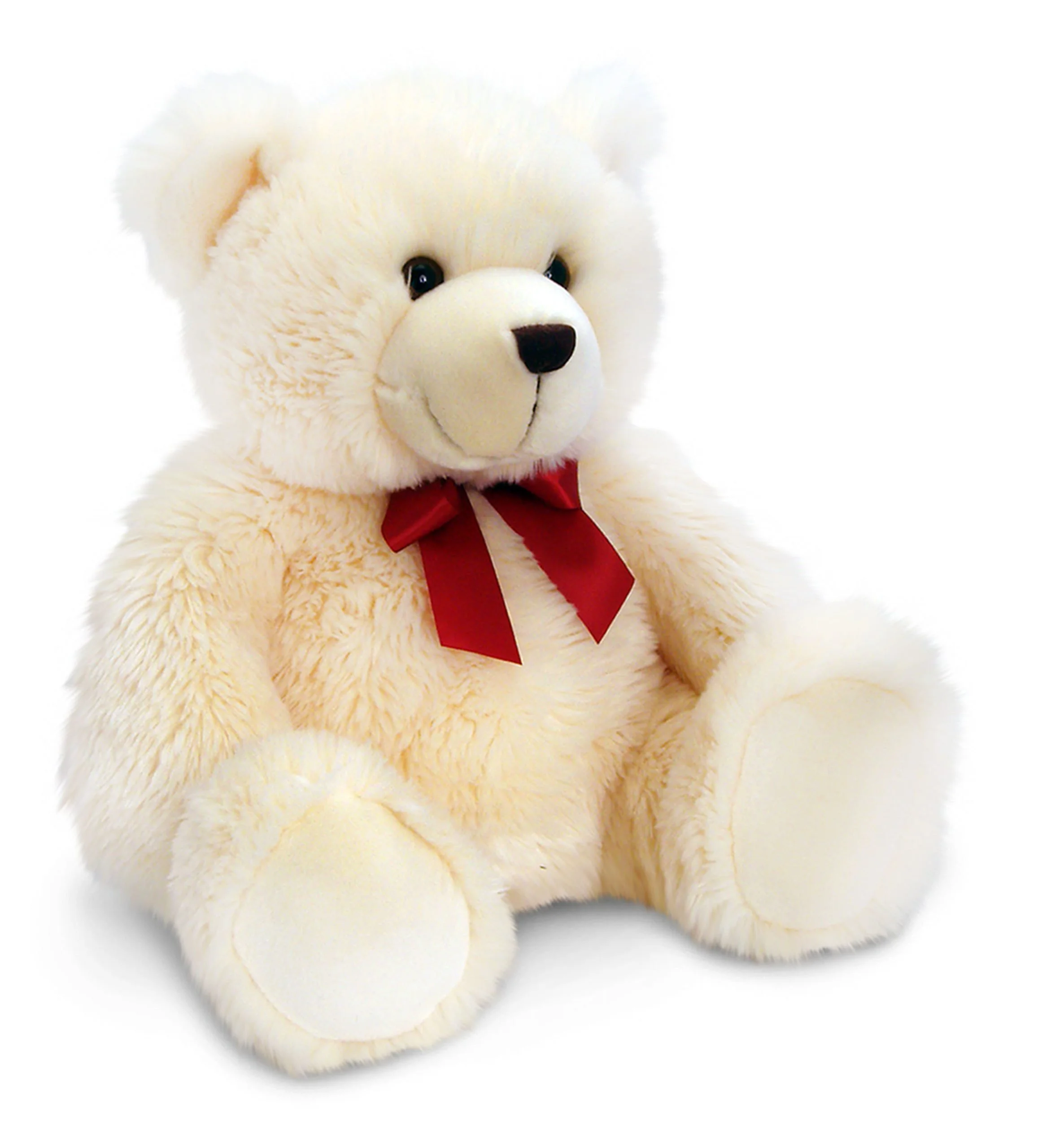 Medium Size White Teddy