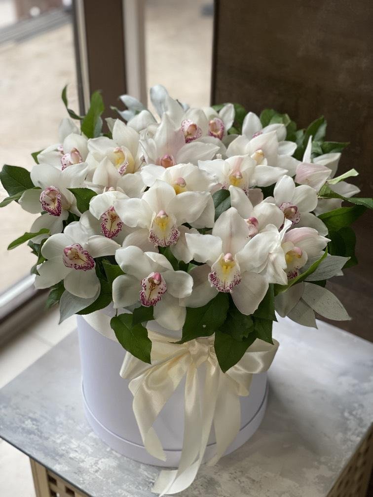 White Cymbidium Orchid Box