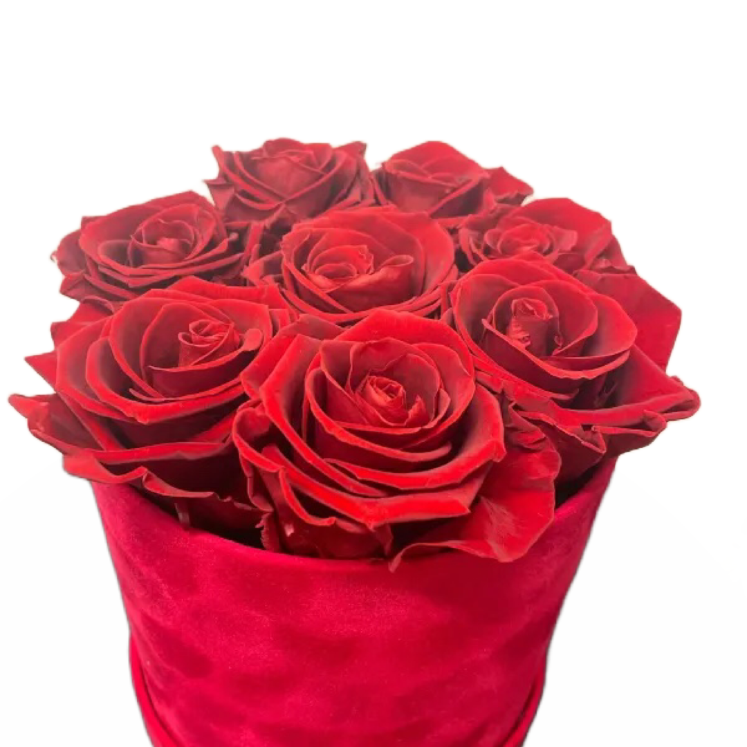Red Roses in Red Box
