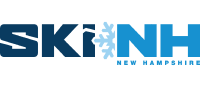 Logo of SKINH, a company specializing in cold cooling solutions, featuring the text 'SKINH' with a snowflake in place of the letter 'I'.