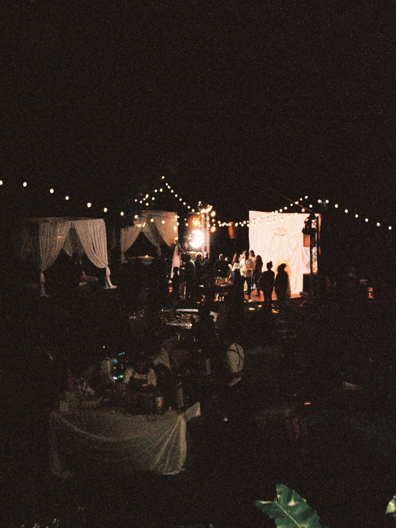 20251204PNWR_0120.jpg