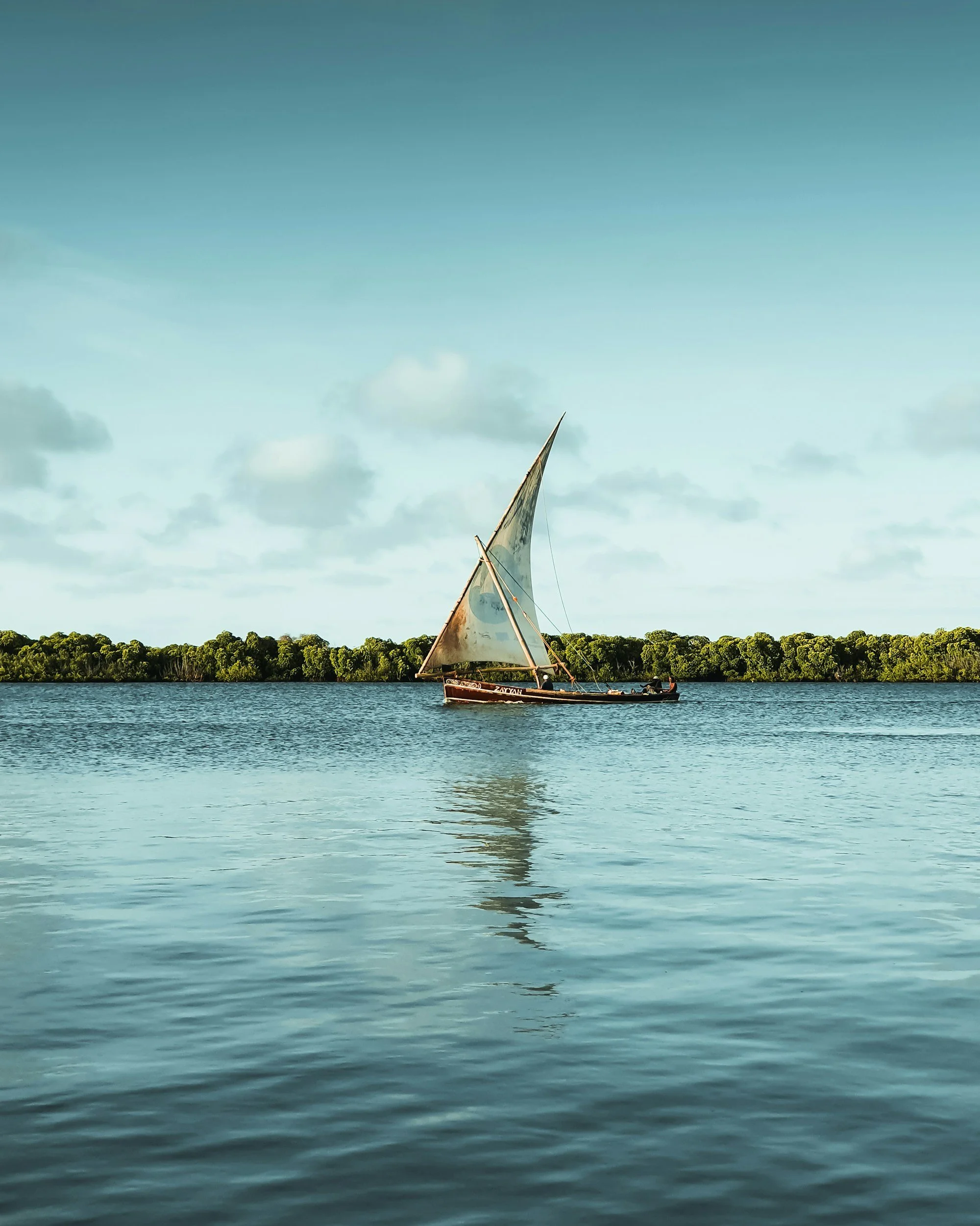 unsplash-image-oEBqrgQU-gY.jpg