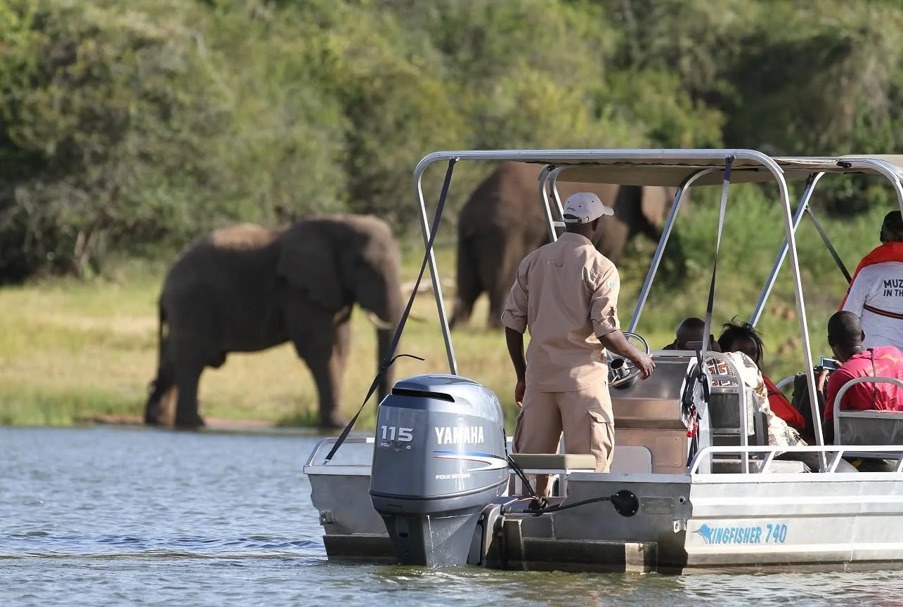 Tourists on a boat observing elephants near the water in a lush, green natural environment.