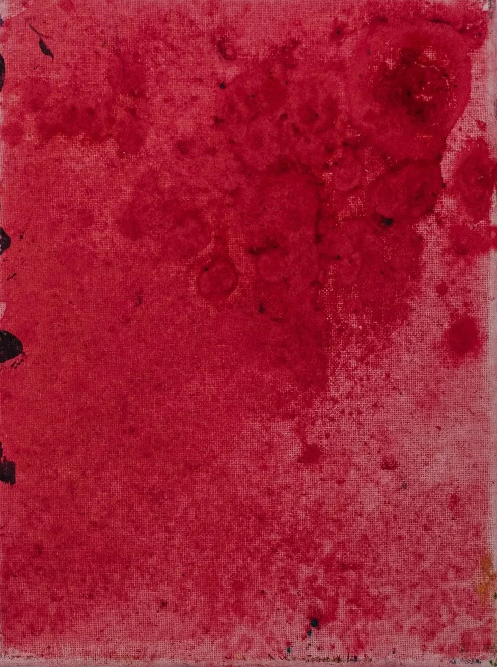 Outer World, 2024 / 
40 x 30 cm / 
Pigment powder and arabica gum on canvas 