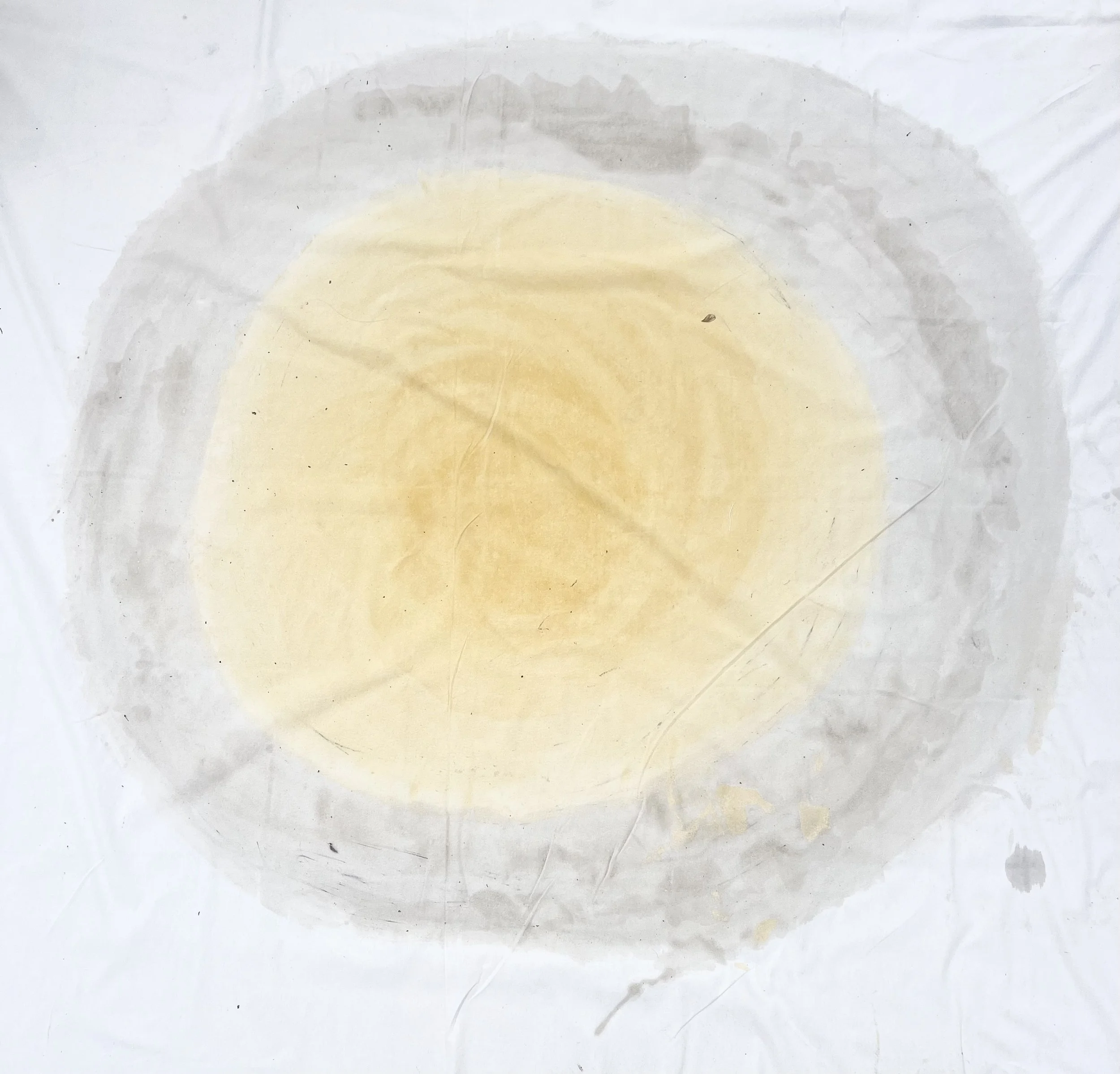 Son of my Heart I, 2024 / 
200 × 300 cm / 
Pigment on canvas