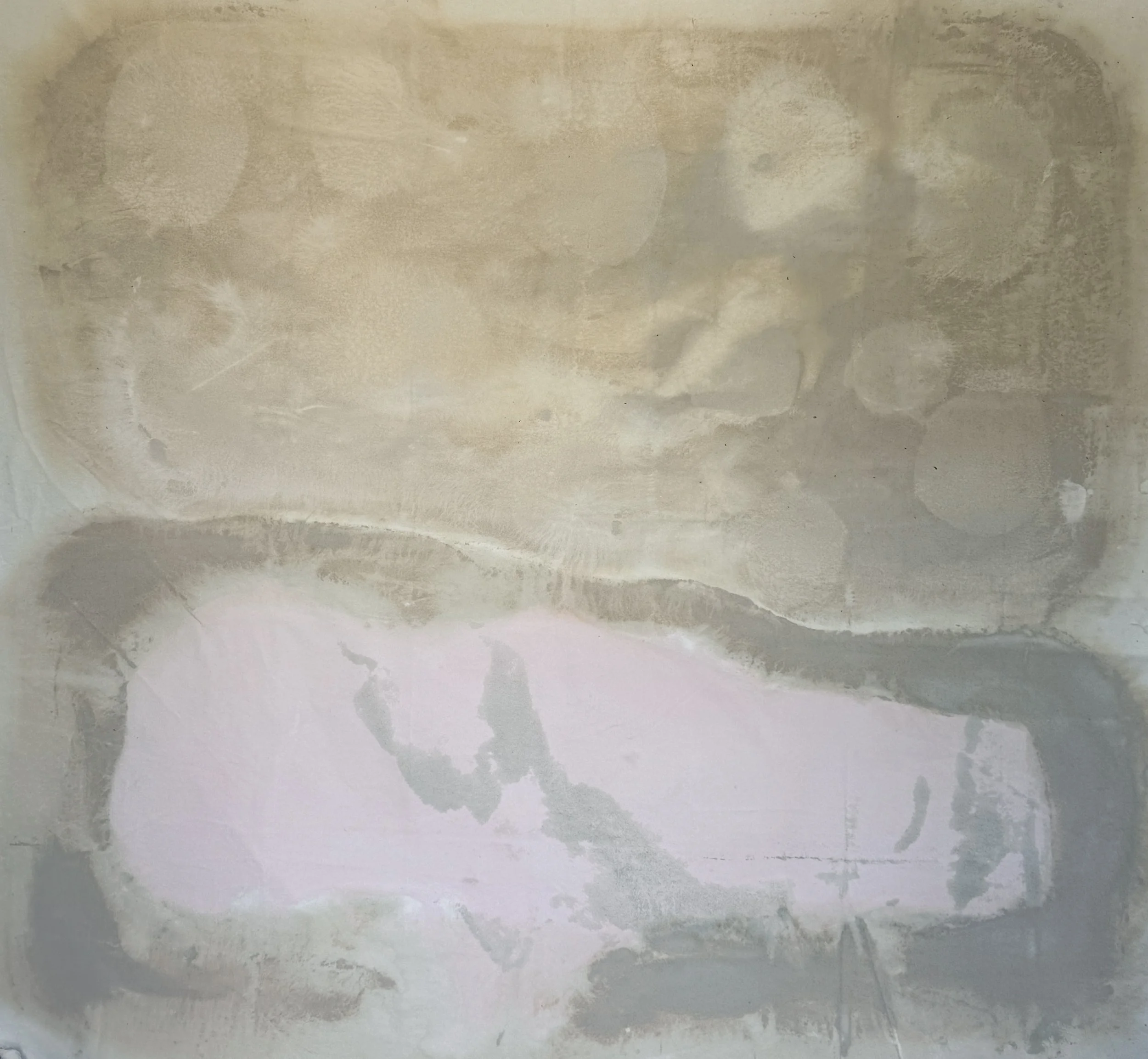 Mummification, 2025 / 
160 x 160 cm / 
Mineral paint on canvas