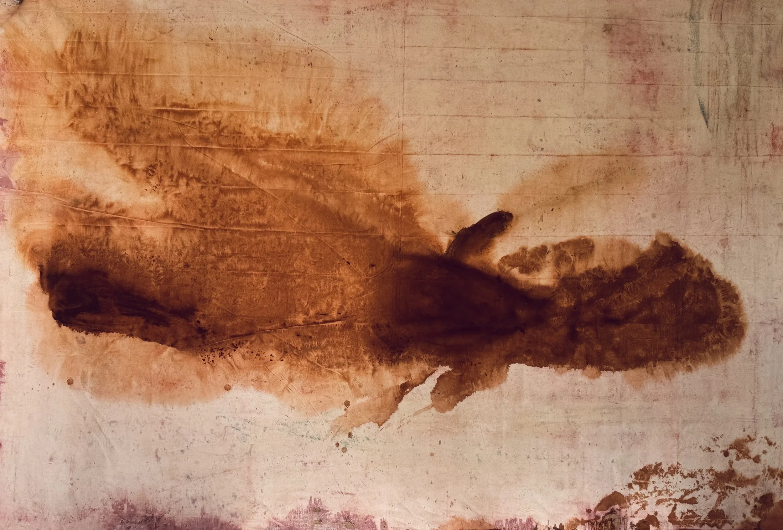 Dove over Light, 2026 / 
Acrylic on canvas / 
194 x 287 cm
